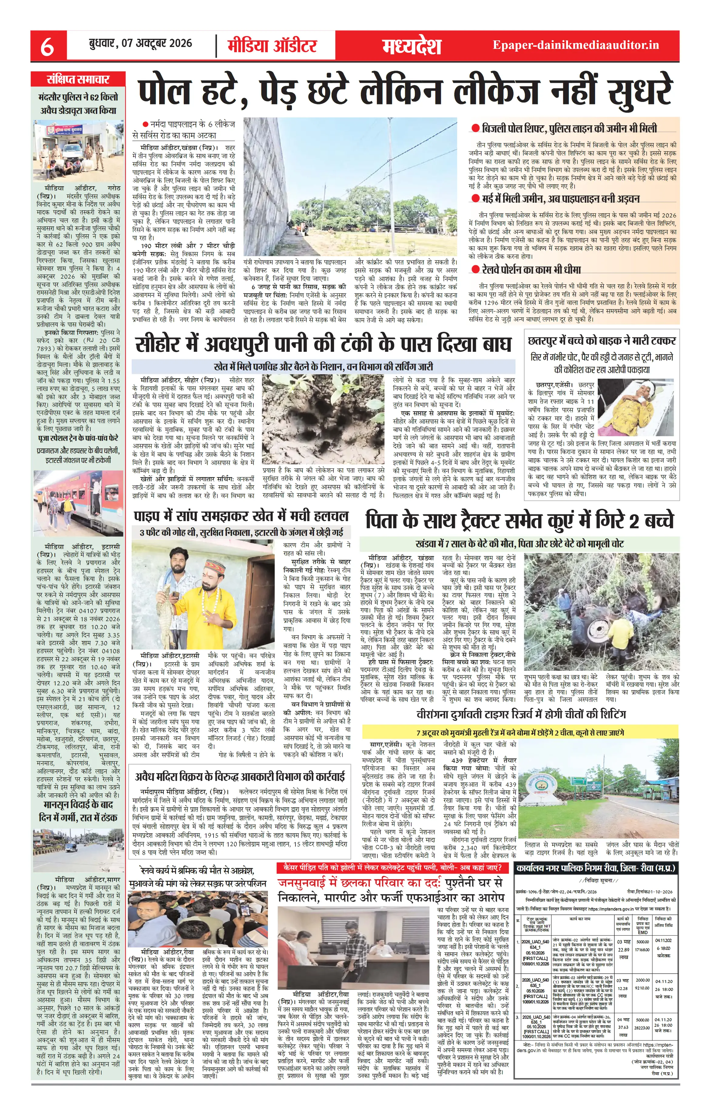 Page 6