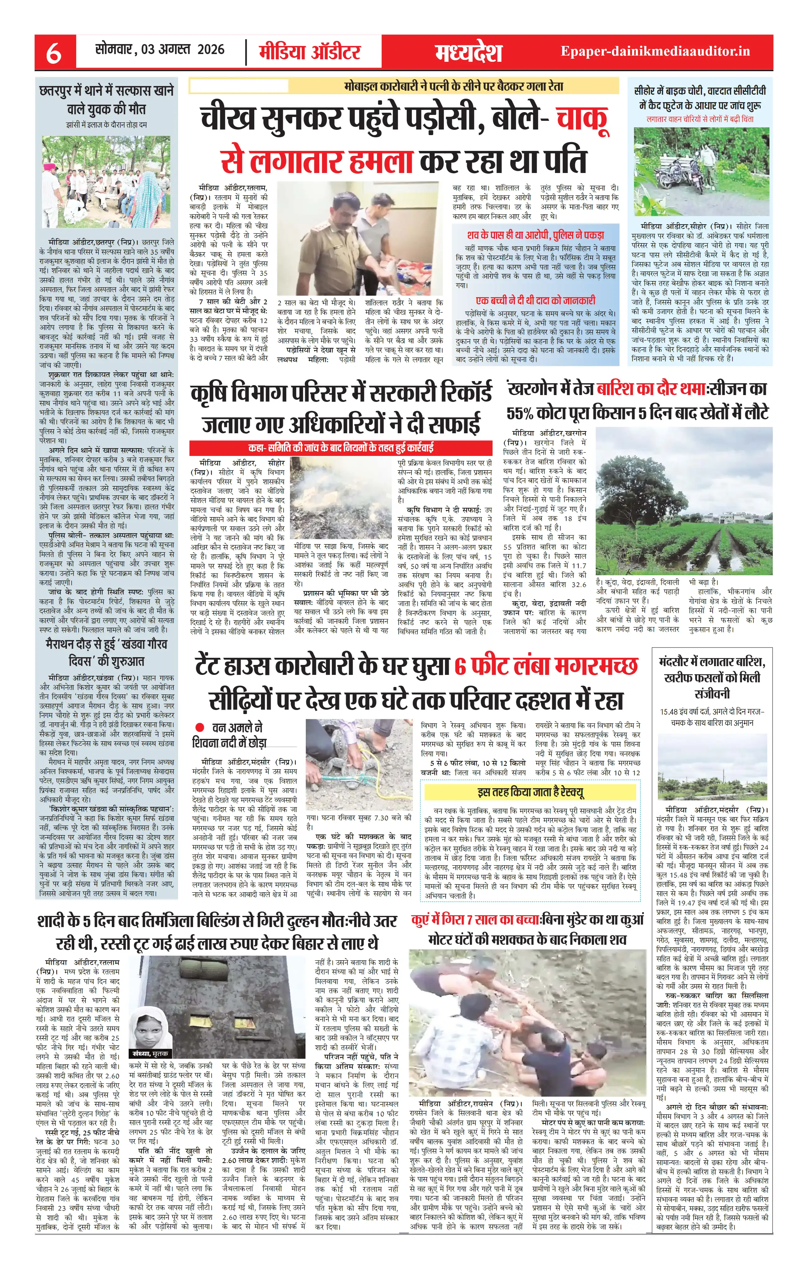 Page 6