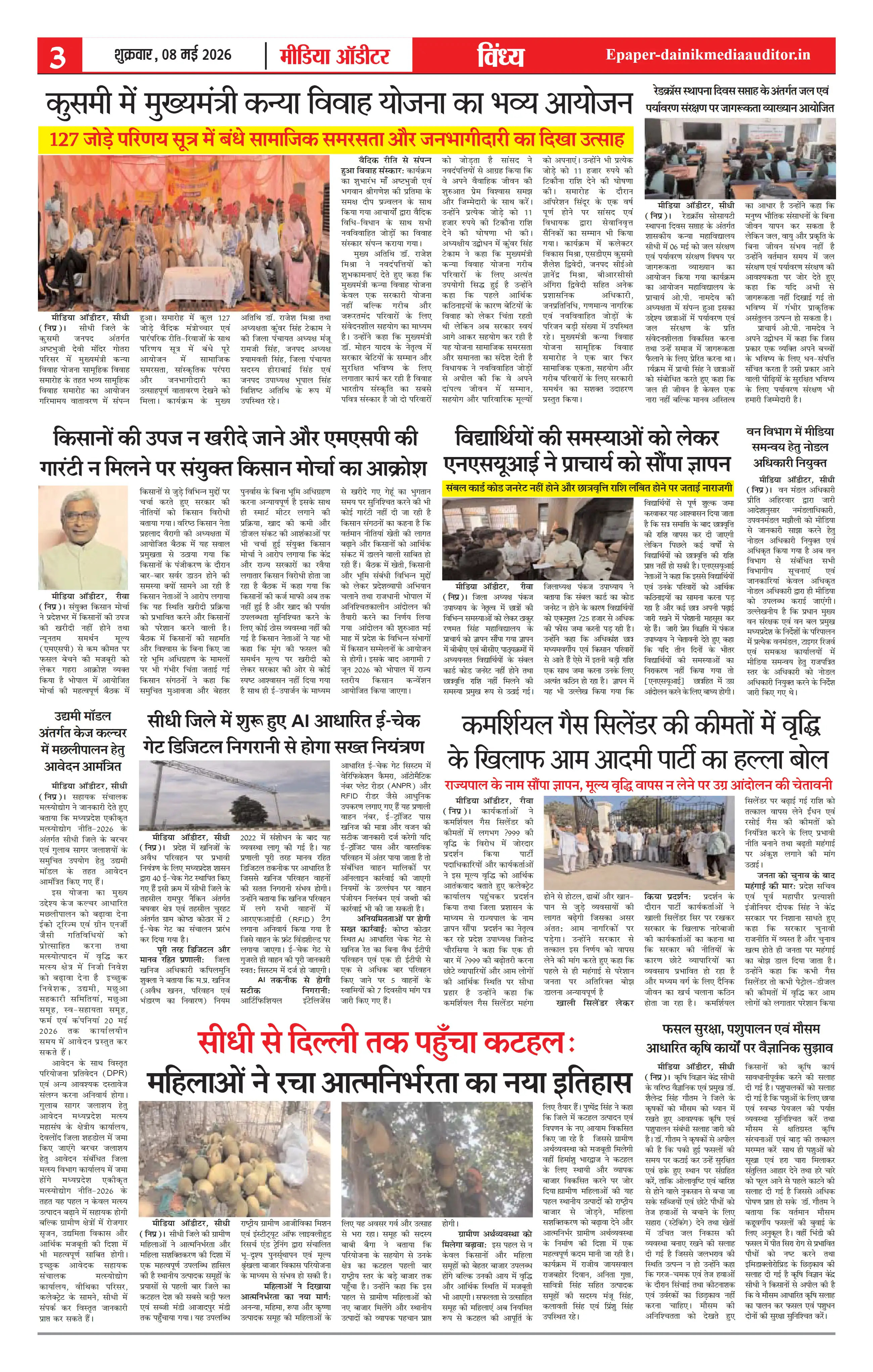 Page 3