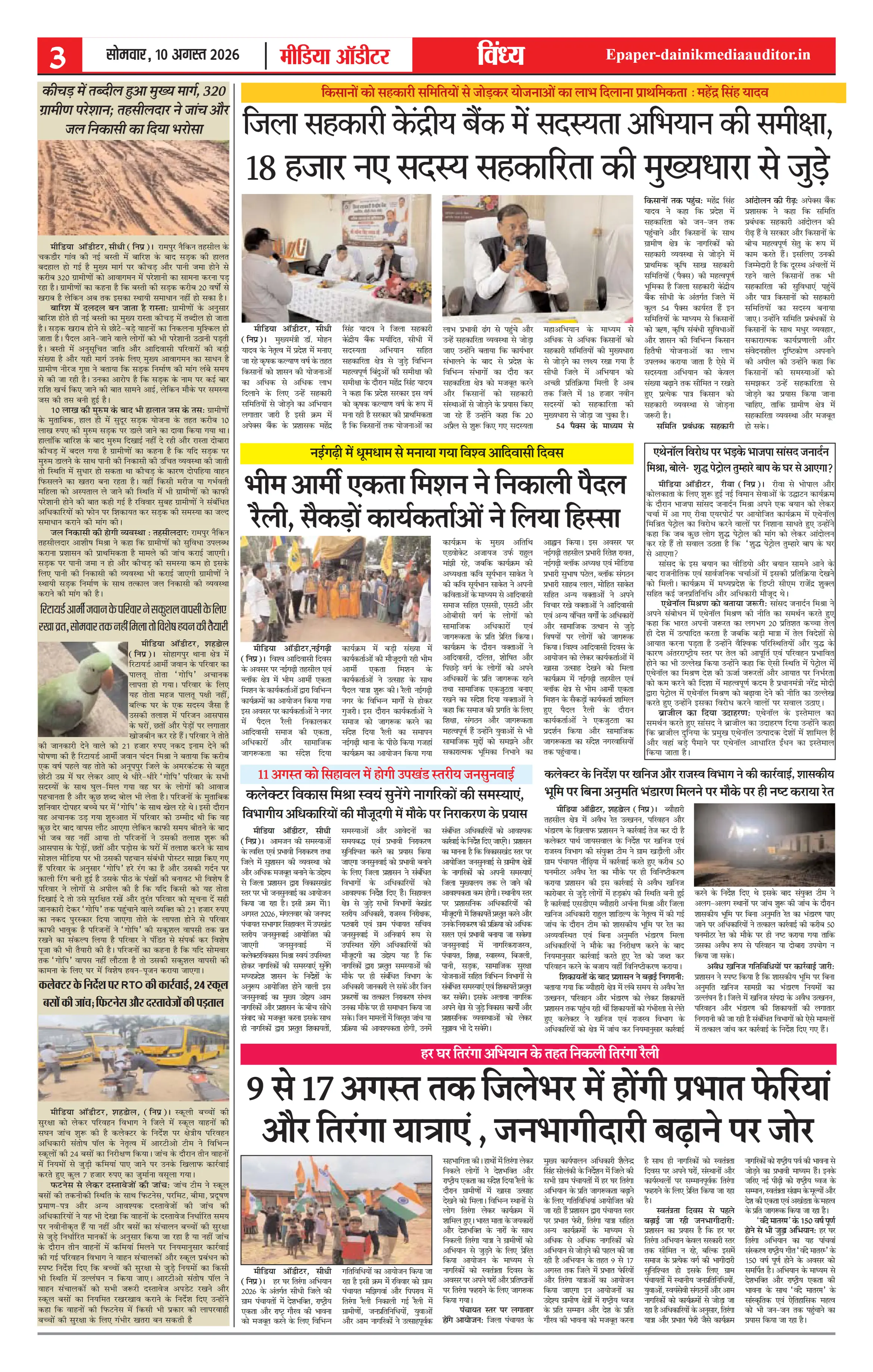 Page 3