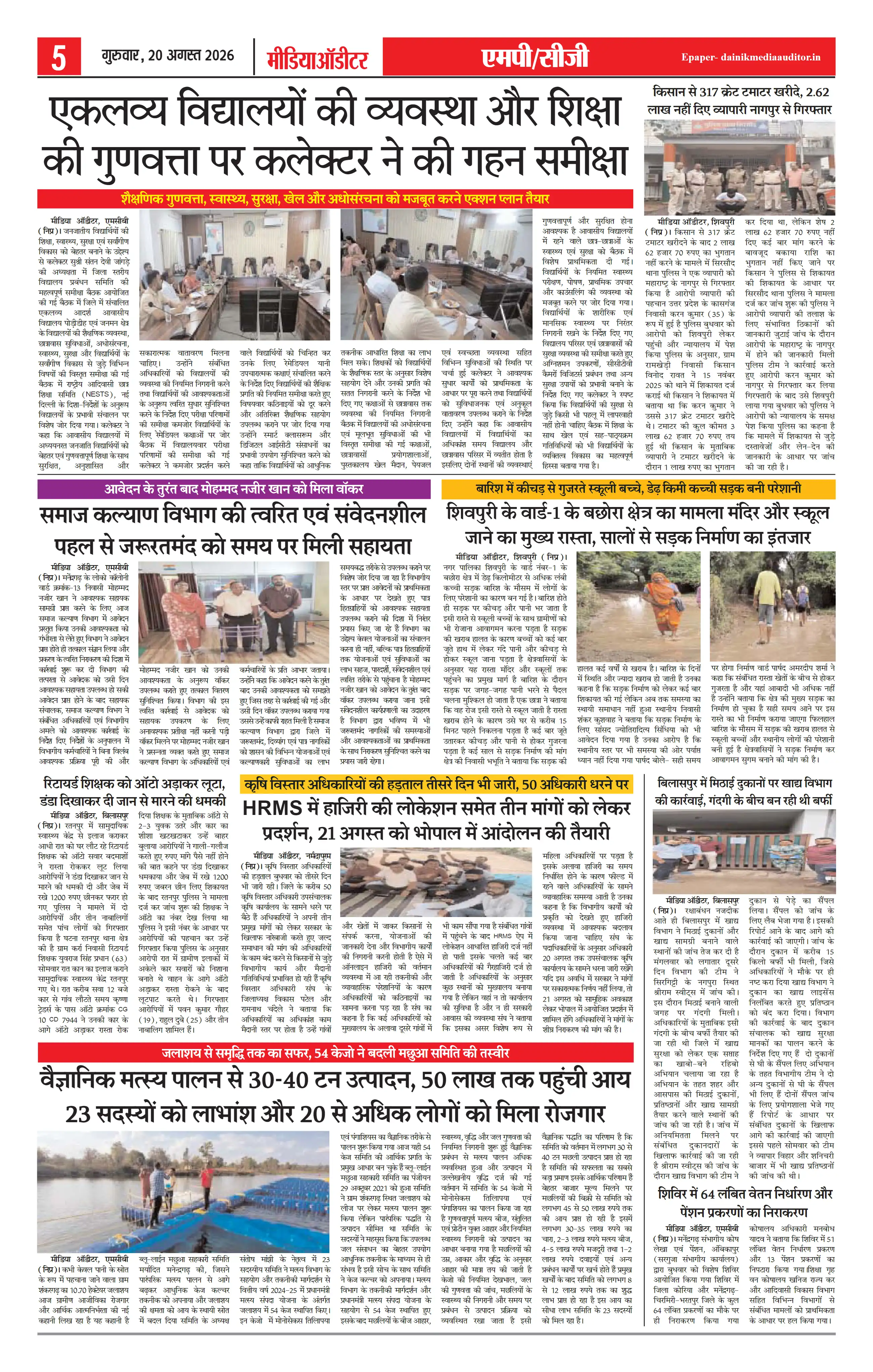 Page 5