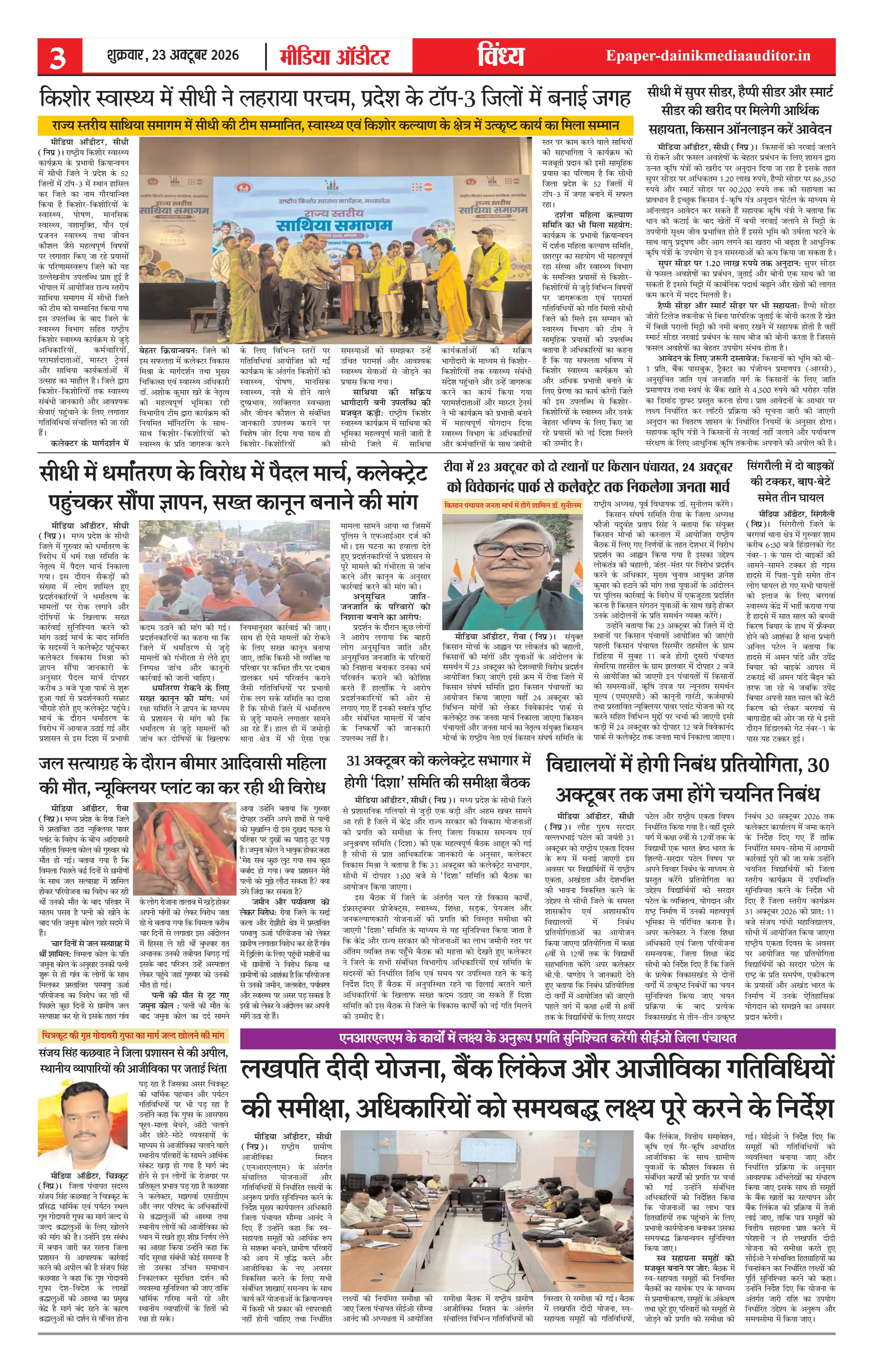 Page 3