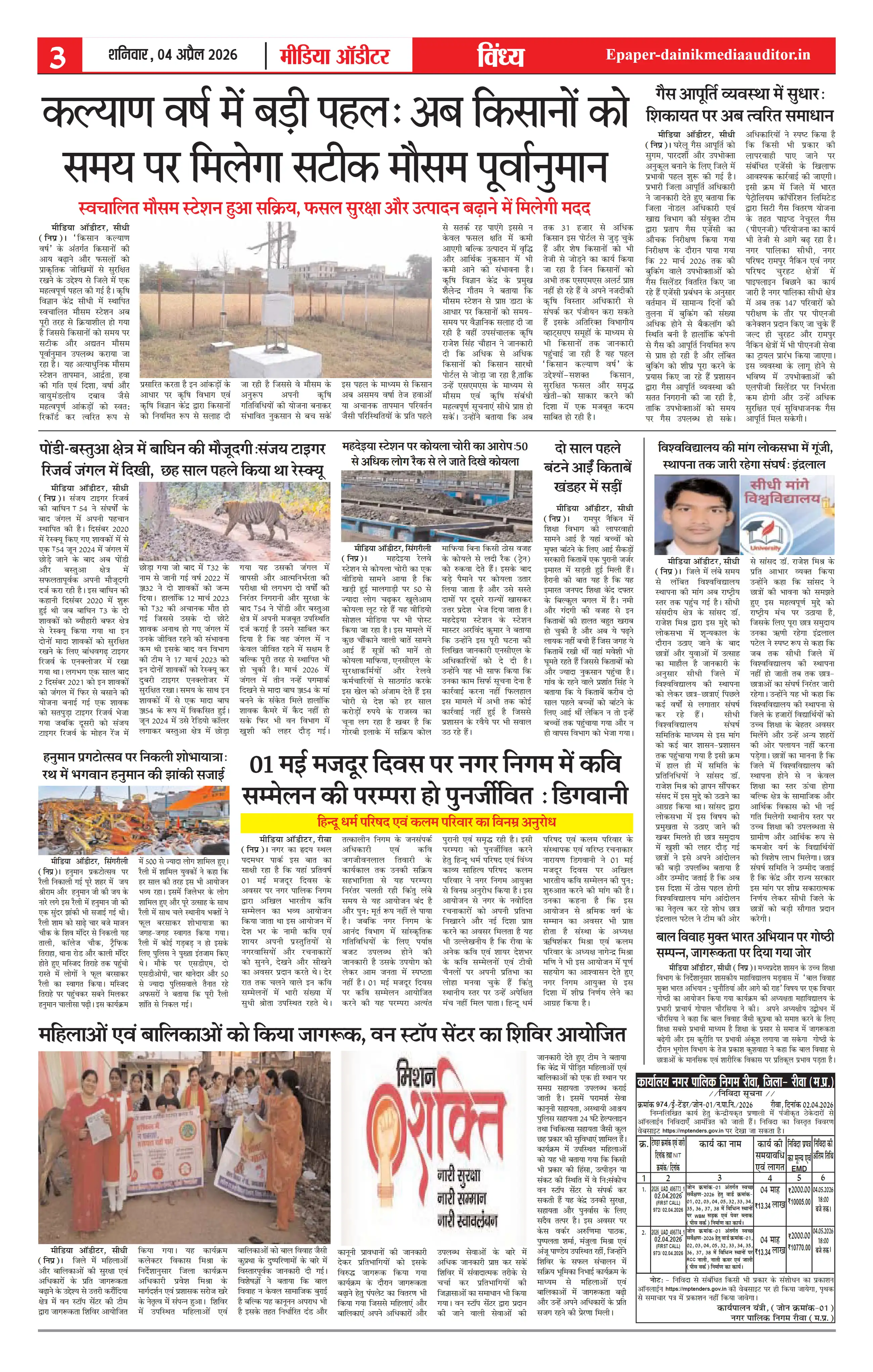 Page 3