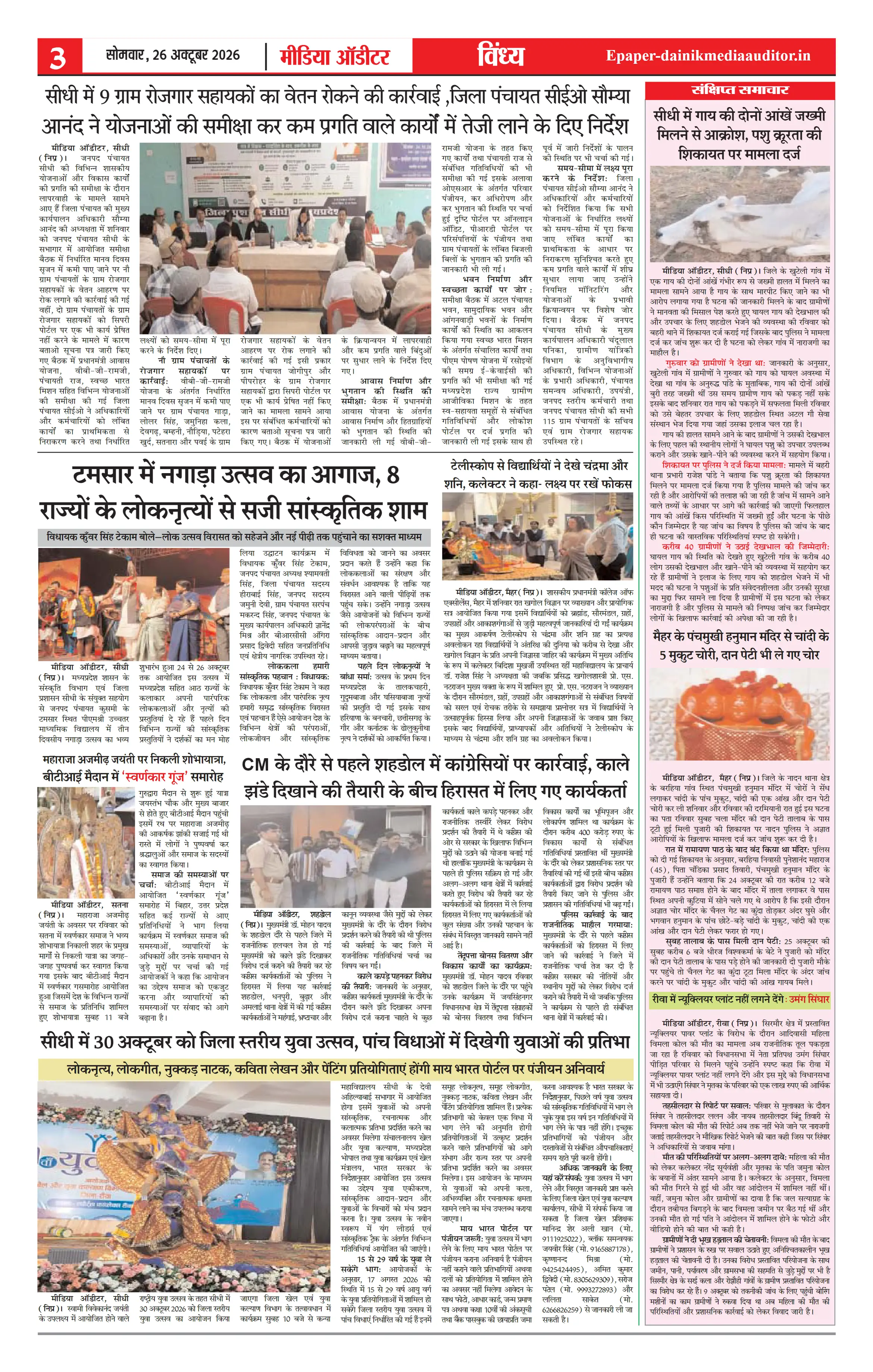 Page 3